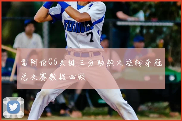 雷阿伦G6关键三分助热火逆转夺冠总决赛数据回顾