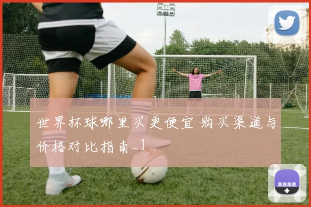 世界杯球哪里买更便宜 购买渠道与价格对比指南_1