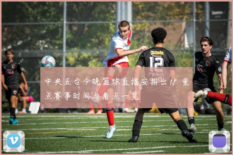中央五台今晚篮球直播安排出炉 重点赛事时间与看点一览