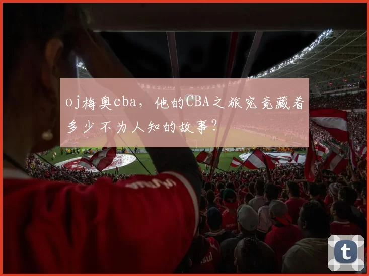 oj梅奥cba，他的CBA之旅究竟藏着多少不为人知的故事？