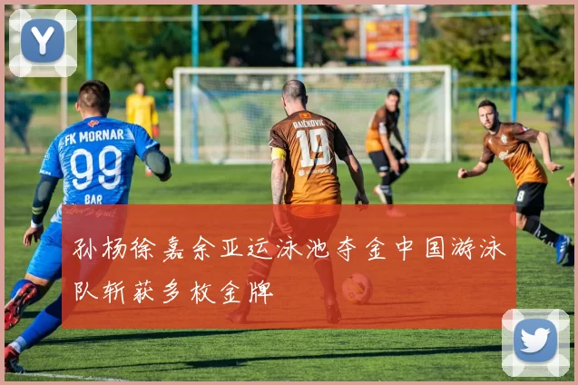 孙杨徐嘉余亚运泳池夺金中国游泳队斩获多枚金牌