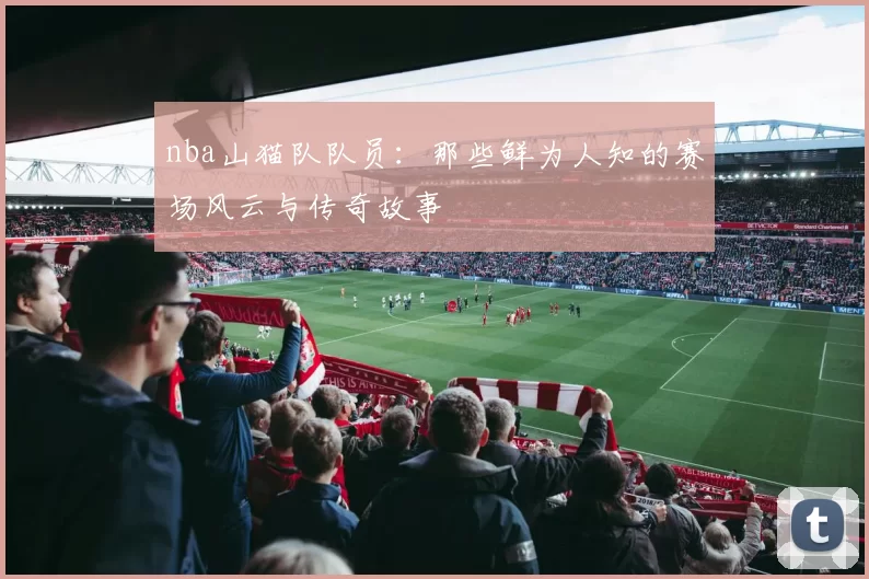 nba山猫队队员:那些鲜为人知的赛场风云与传奇故事