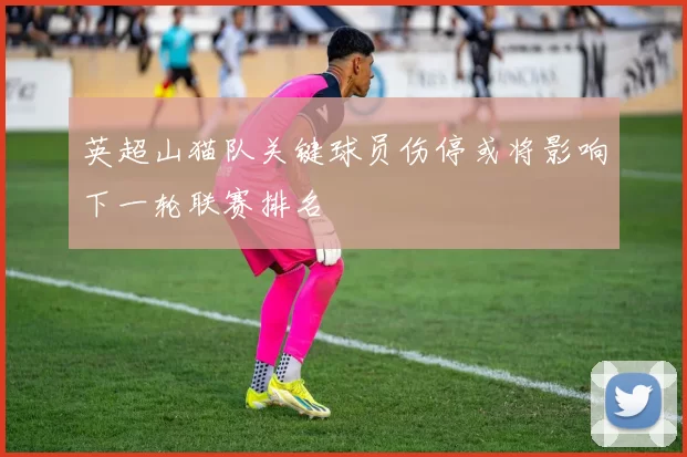 英超山猫队关键球员伤停或将影响下一轮联赛排名