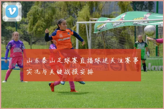 山东泰山足球赛直播球迷关注赛事实况与关键战报安排